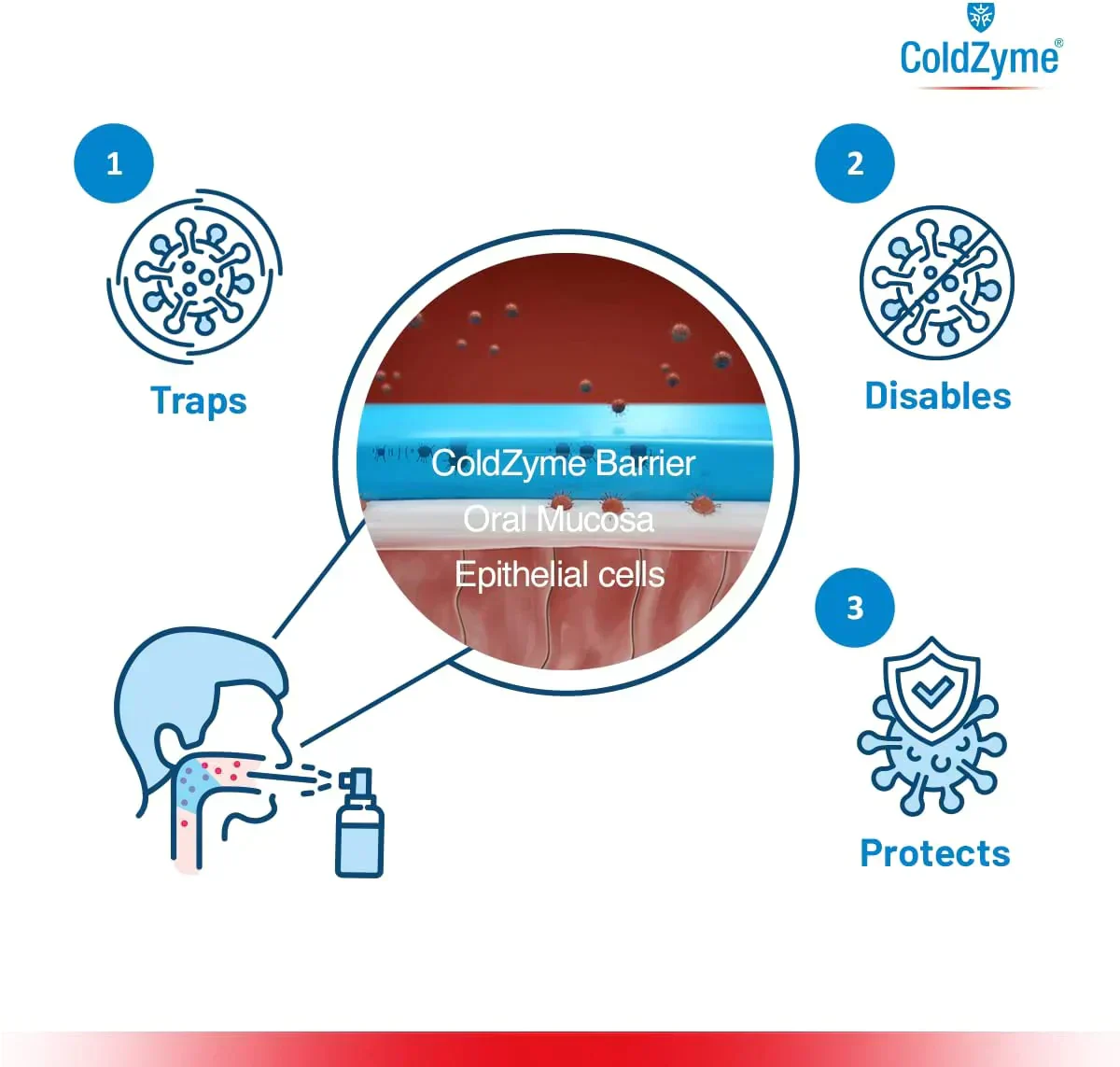 ColdZyme Mouth & Throat Spray Spray 20ml - Image 3