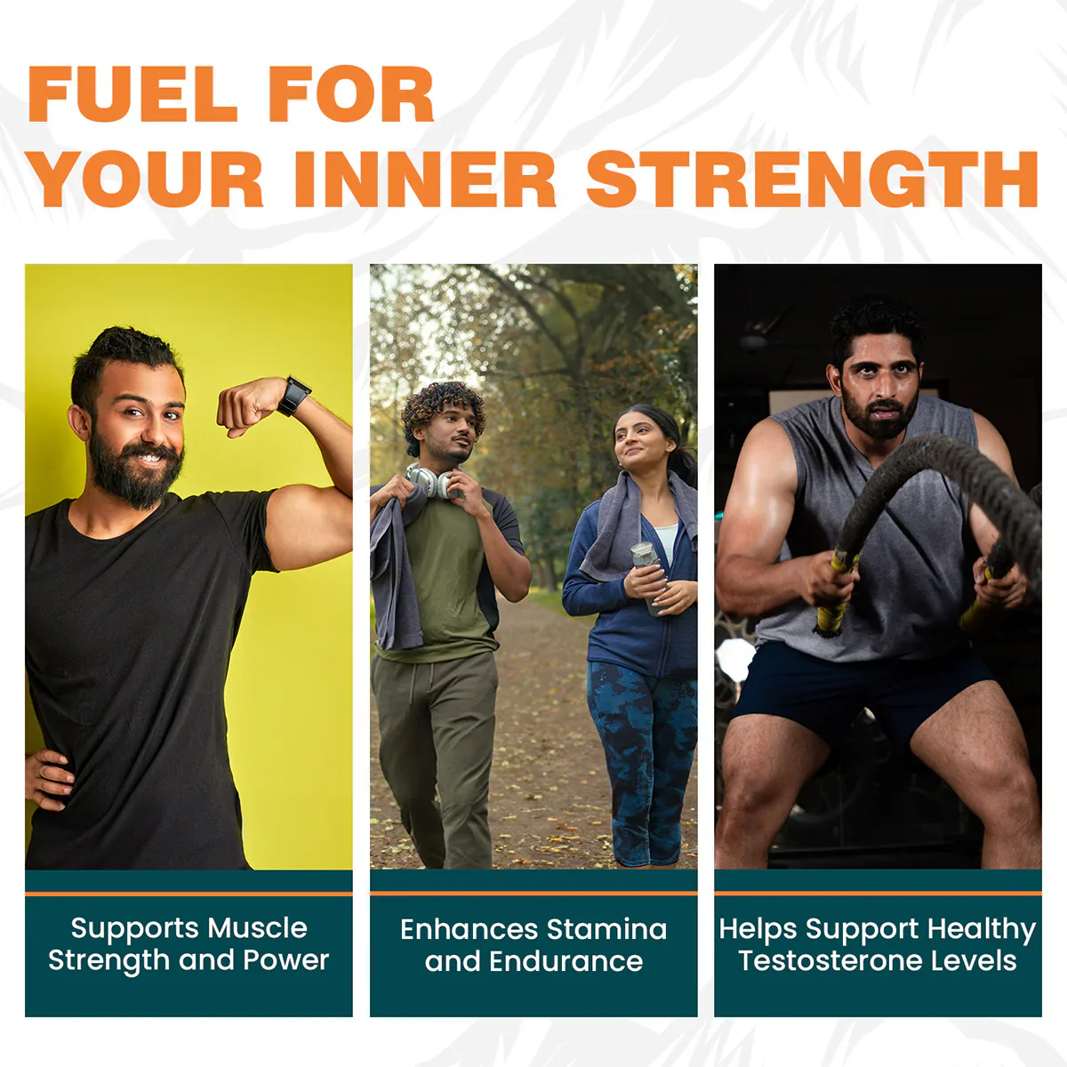 Himalaya Shilajit Capsules - Image 8