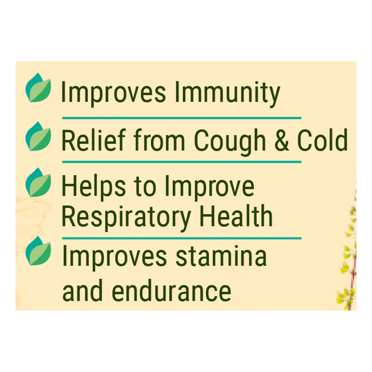 Patanjali Divya Shila Tulsi Drops - Image 2