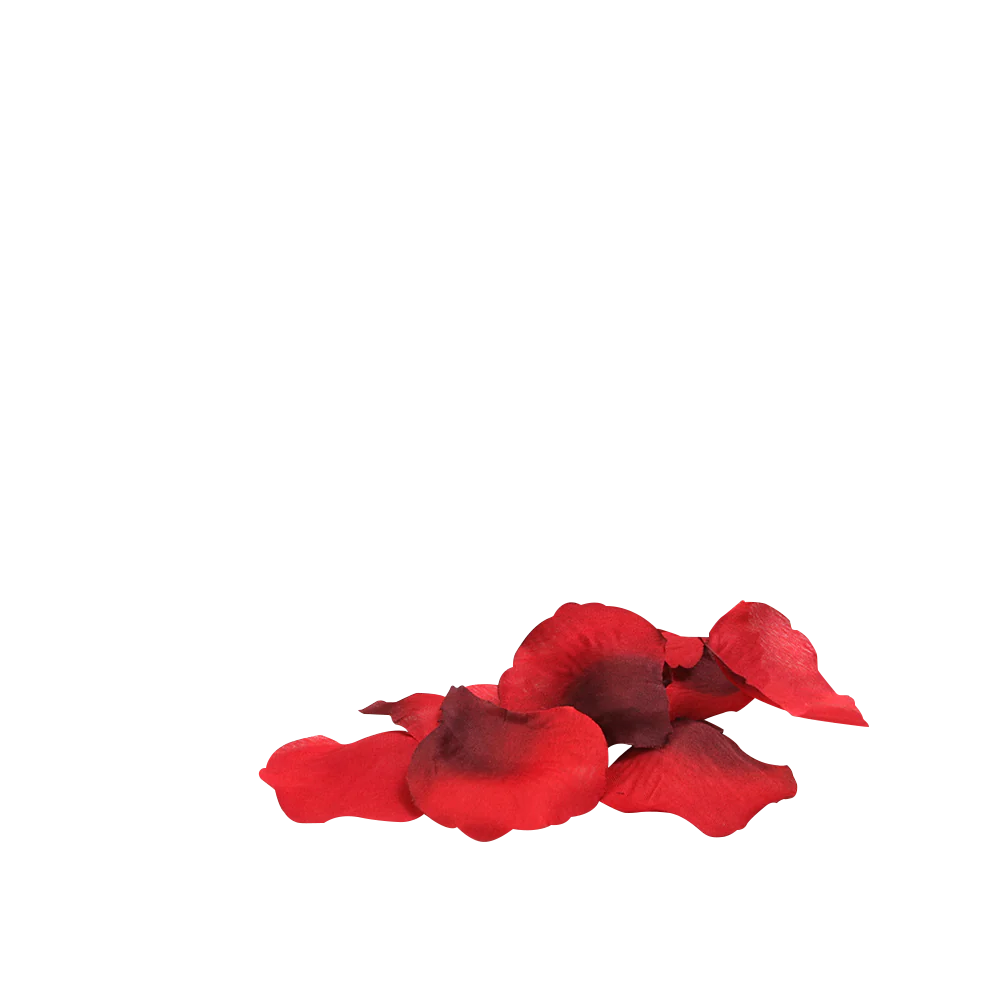 You & Me On A Bed Of Roses! - Image 3